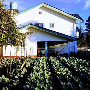 Gasthof Vibe Way, Nuwara Eliya
